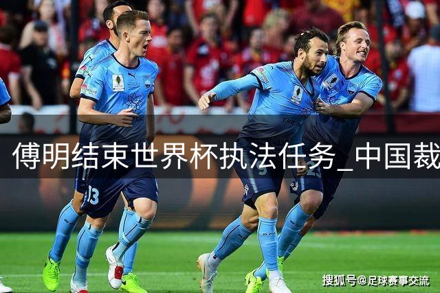 傅明结束世界杯执法任务 中国裁判成首批离会组员