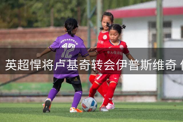 英超悍将卢基奇转会伊普斯维奇 体检或本周完成